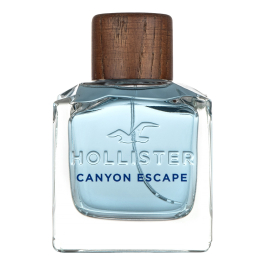 Hollister Canyon Escape Hollister Perfume 100ml Hollister Canyon