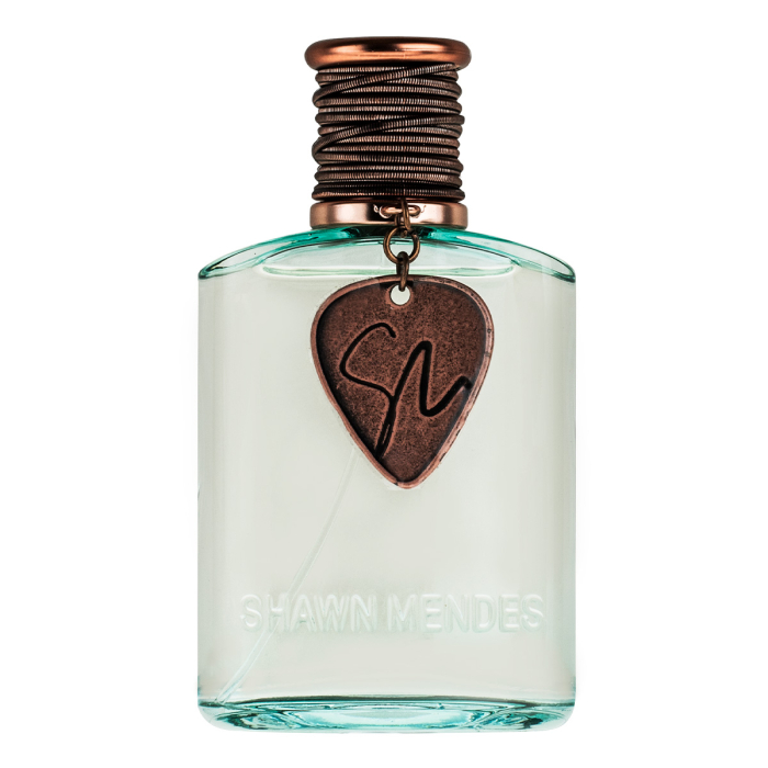 Shawn Mendes Signature For Women Men Eau de Parfum Spray 100ml