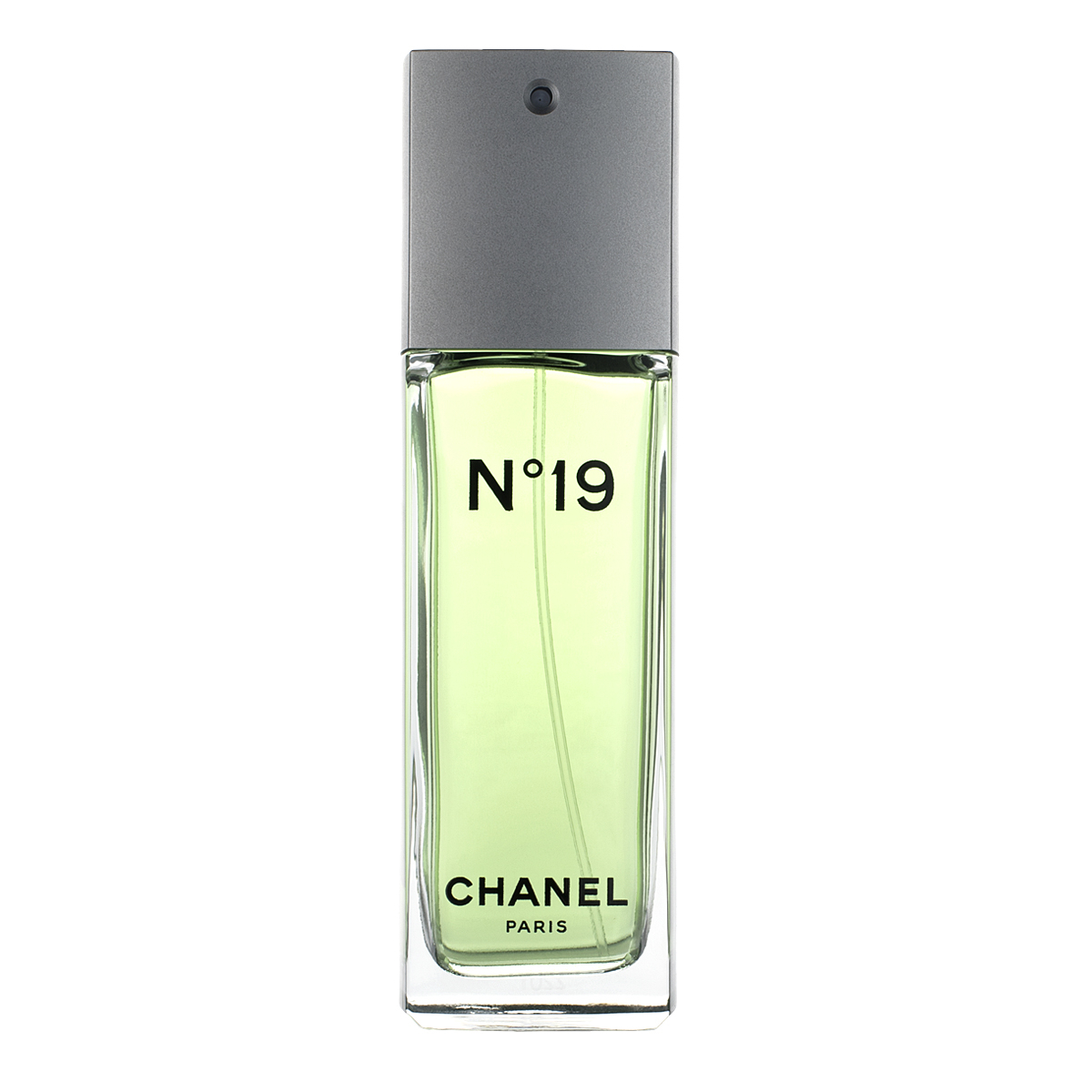 Chanel No. 19 Eau de Toilette Spray 100ml BeautyBuys Ireland